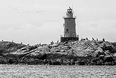 Old Sakonnet Point Lighthouse BW